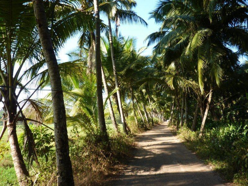 Coconut Grove Beach Resort Colva Exterior photo